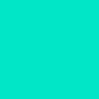 Color of #00E5C3