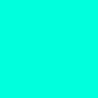 Color of #00FFDD