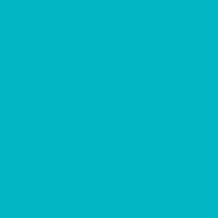 Color of #02B7C3