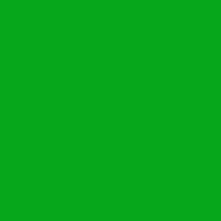 Color of #06A71B