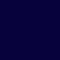 Color of #07023B