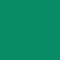 Color of #088C66