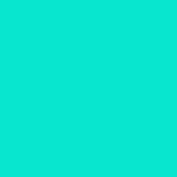 Color of #09E6D0