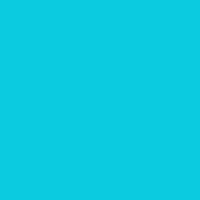 Color of #0BCBE0