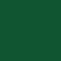 Color of #105531