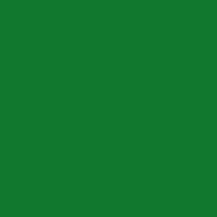 Color of #11782E