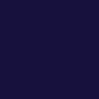 Color of #13133D