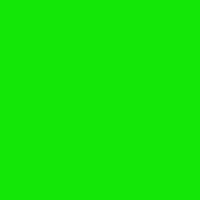 Color of #13E708