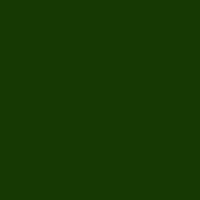 Color of #153903