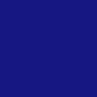 Color of #161782