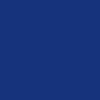 Color of #16337C