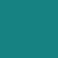 Color of #168281