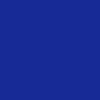 Color of #172A96