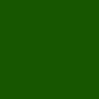 Color of #175600