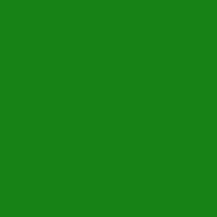 Color of #178216