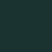 Color of #18332F