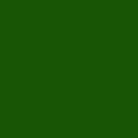 Color of #185605