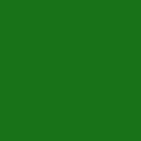 Color of #187218