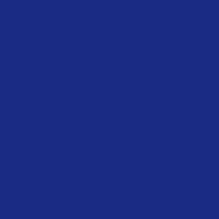 Color of #1A2B84