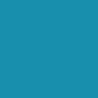 Color of #1A91AC