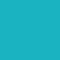 Color of #1AB3C0