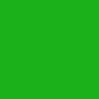 Color of #1BB11B