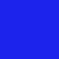 Color of #1C23EC