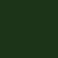 Color of #1C3418