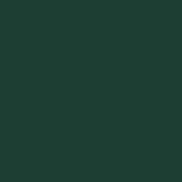 Color of #1D3E33