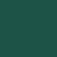 Color of #1D5347