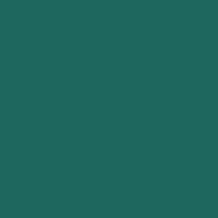 Color of #1D675E