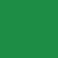 Color of #1D8C45