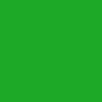 Color of #1DA927