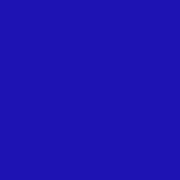 Color of #1E13B3