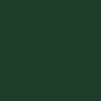 Color of #1E3E2A