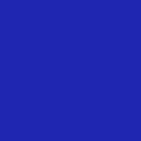 Color of #1F26B1