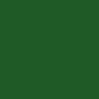 Color of #1F5A26