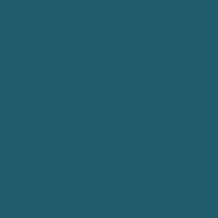 Color of #1F5C6B