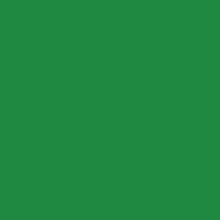 Color of #1F8942