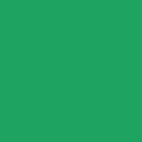 Color of #1FA361