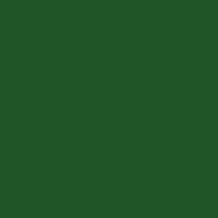 Color of #205528