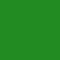 Color of forest green