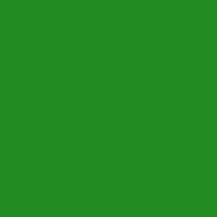 Color of #228C22