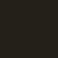 Color of #242019