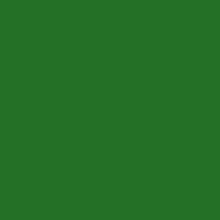 Color of #246F24