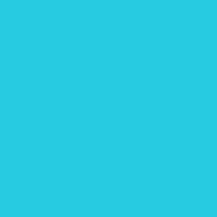 Color of #27CBE1