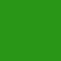 Color of islamic green