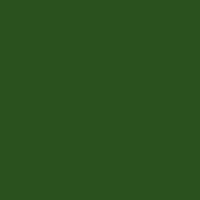 Color of #2A511E