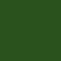 Color of #2A521D