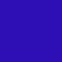 Color of #2E0FB6